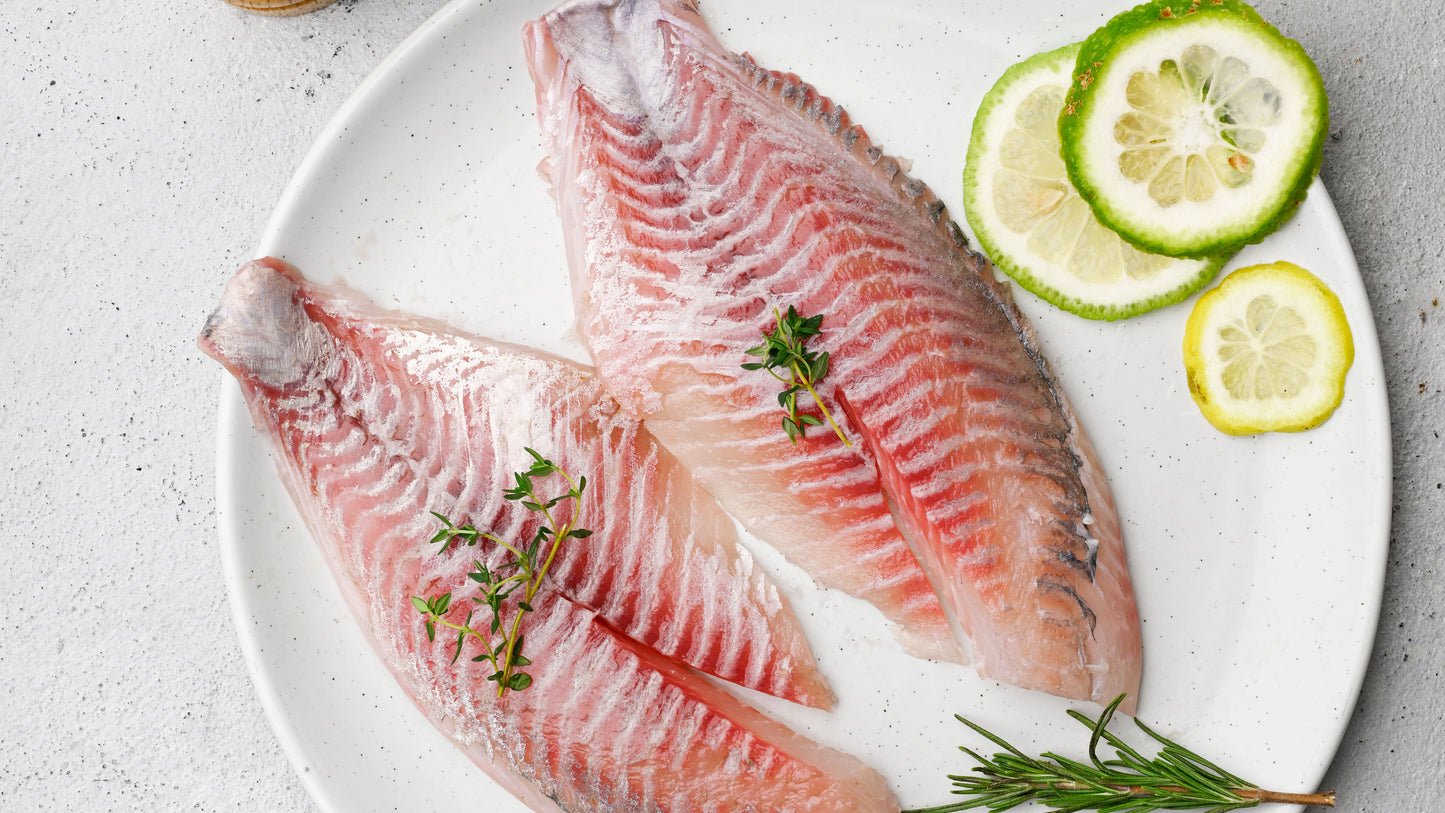 Tilapia Fillet Box